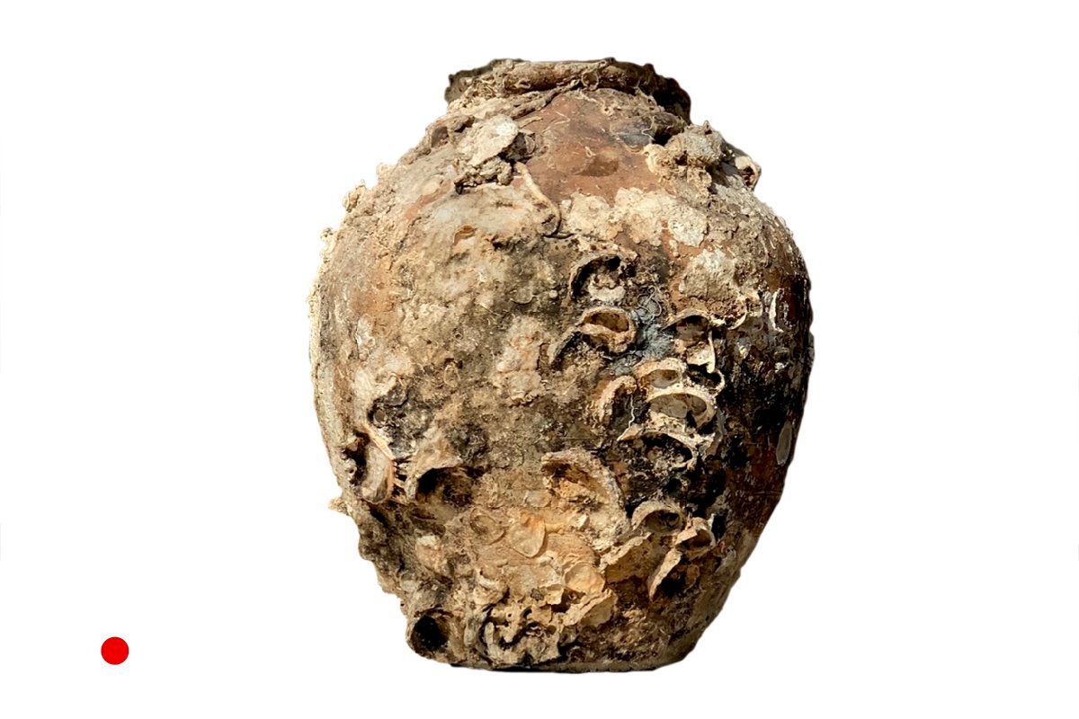 Antique Storage Jar with Marine Adhesions